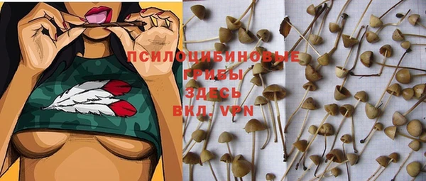 меф Зерноград