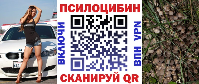Галлюциногенные грибы Cubensis  Слободской 