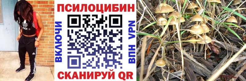 Псилоцибиновые грибы MAGIC MUSHROOMS Слободской
