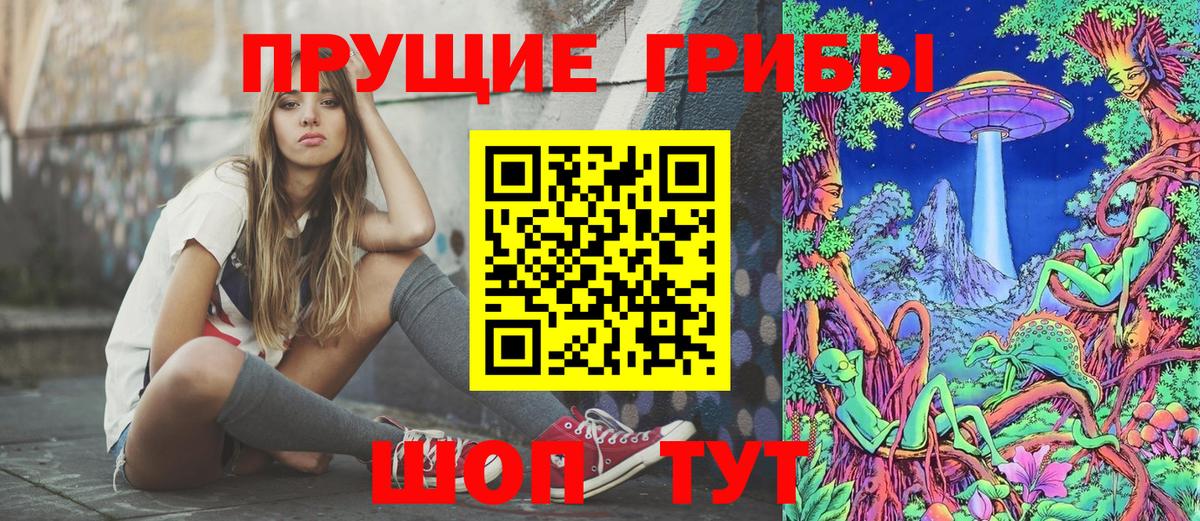 Слободской  Галлюциногенные грибы Psilocybe  Вход с VPN 
